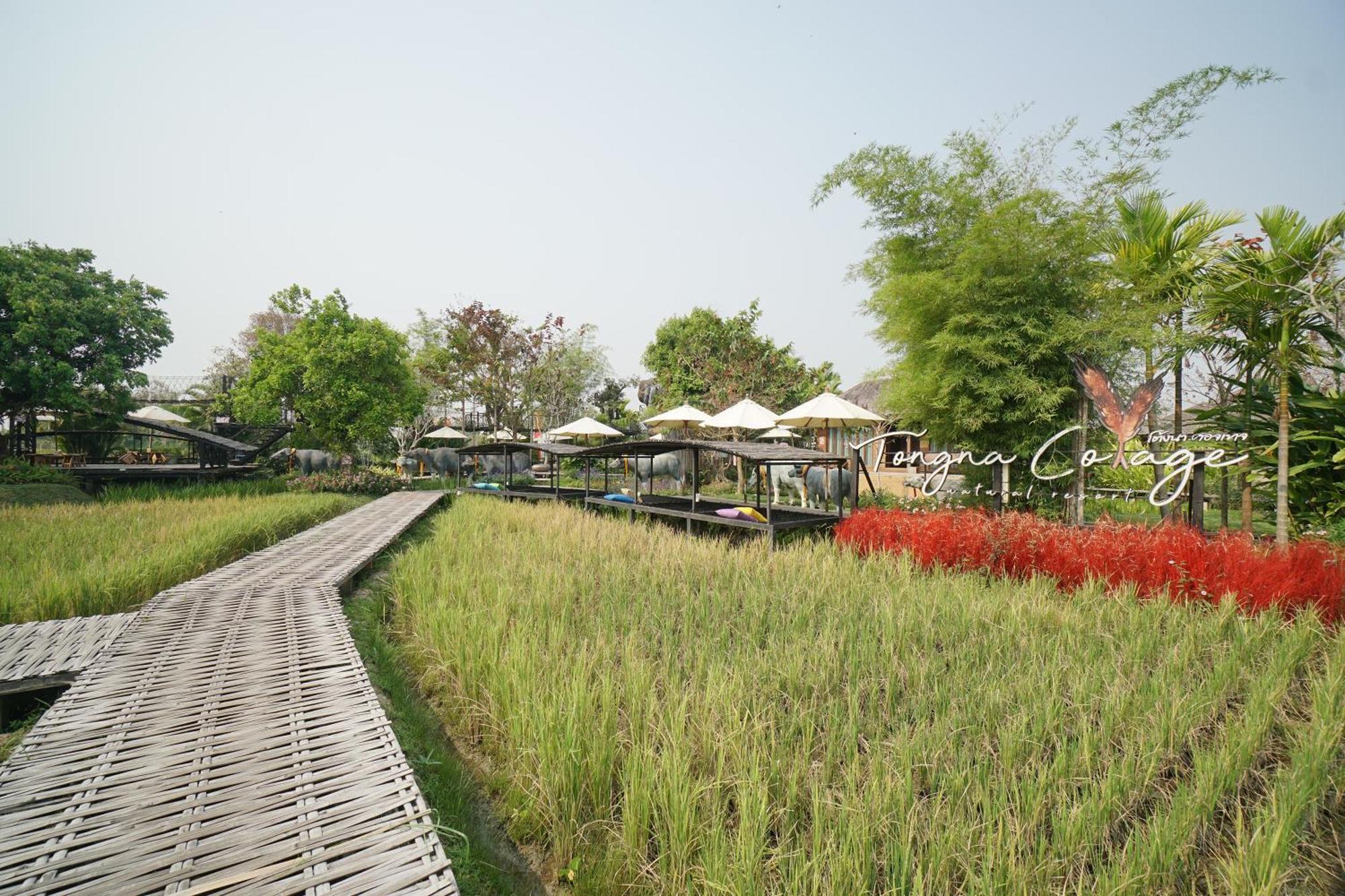 Tongna Cottage Natural Resort Chiang Mai Bagian luar foto
