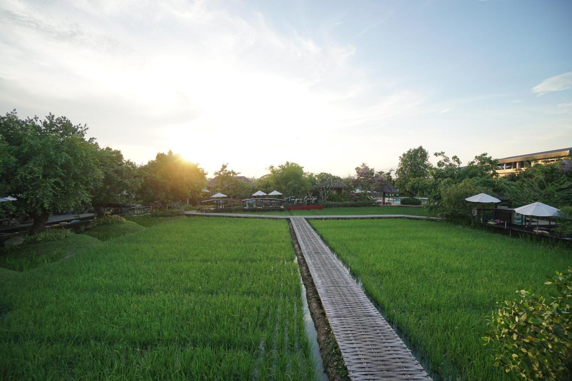 Tongna Cottage Natural Resort Chiang Mai Bagian luar foto