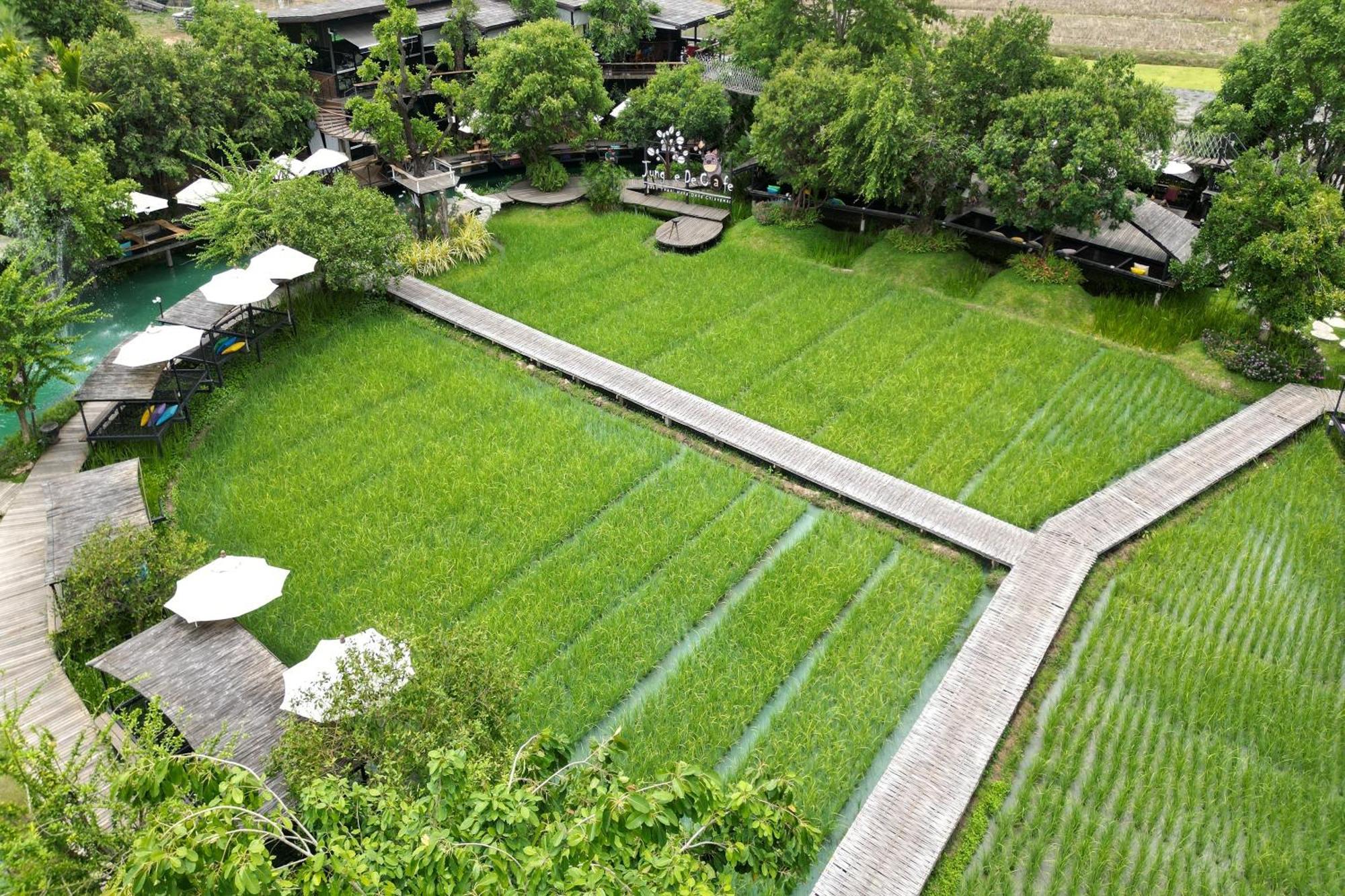 Tongna Cottage Natural Resort Chiang Mai Bagian luar foto